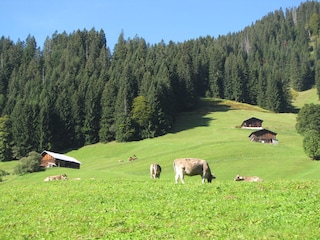 Wundervolle Umgebung