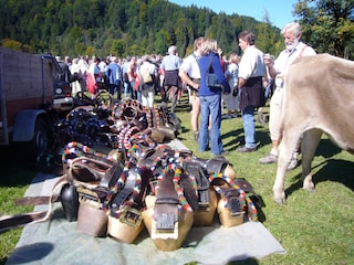 Viehscheid im September