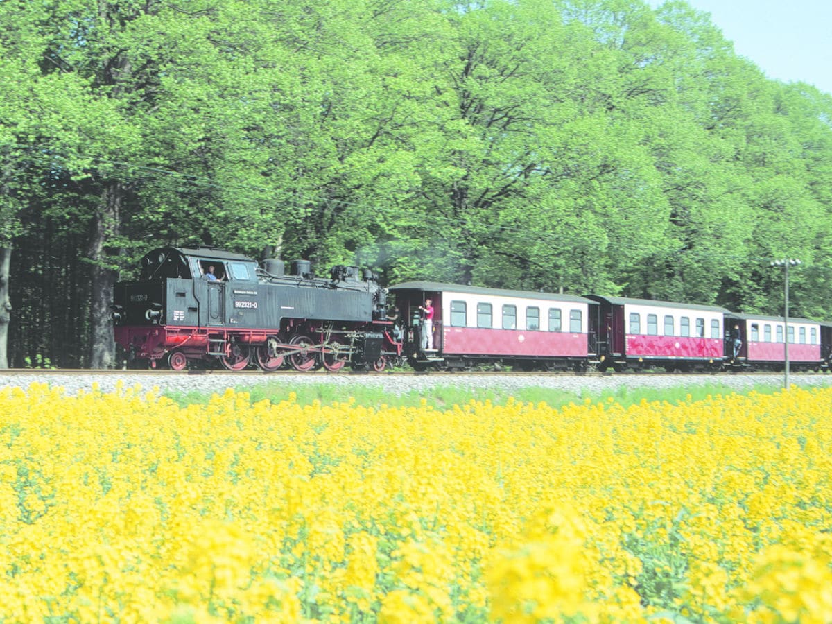 Schmalspur-Dampfeisenbahn " Der Molli"