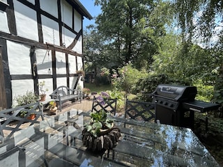 Blick in den Garten