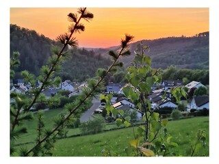 Blick vom oberen Weg auf die Häuser am Wald