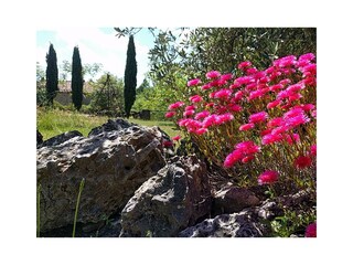 Holiday house Boccheggiano Outdoor Recording 8