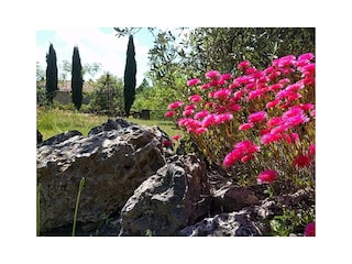 Vakantiehuis Boccheggiano Buitenaudio-opname 8