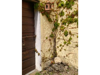 Holiday house Boccheggiano Outdoor Recording 10