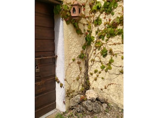 Vakantiehuis Boccheggiano Buitenaudio-opname 10