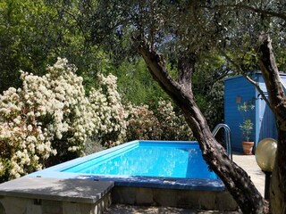 Casa per le vacanze Boccheggiano Registrazione all'aperto 18