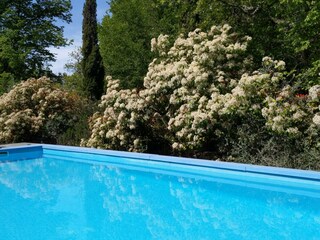 Casa per le vacanze Boccheggiano Registrazione all'aperto 19
