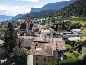 Vakantieappartement Ansitz Gurtenhof - Tesim - image1