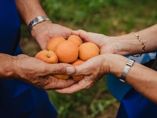 Appartamento per vacanze Tisens Ambiente 34