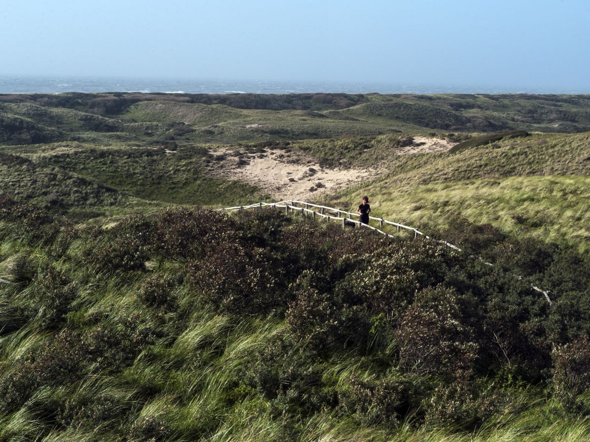 Amsterdamse Waterleidingduinen und das Meer