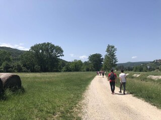 walking