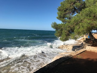 Meer