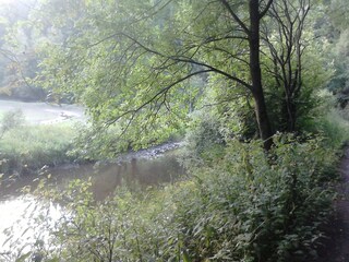Holiday apartment Monschau Environment 17
