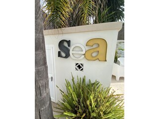 Apartment Marbella Outdoor Recording 4