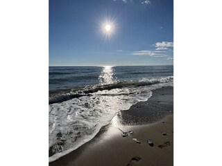 Apartment Marbella Environment 40