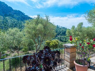 Villa Andratx Environnement 45