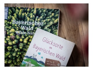 Chalet Teisnach Registrazione all'aperto 14