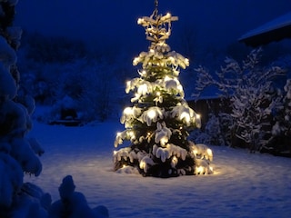 Chalet Teisnach Grabación al aire libre 4