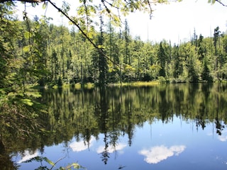 Chalet Teisnach Entorno 36