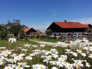 Chalet Teisnach Grabación al aire libre 10