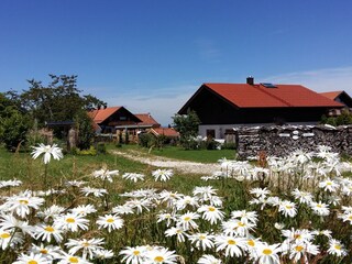 Chalet Teisnach Registrazione all'aperto 10