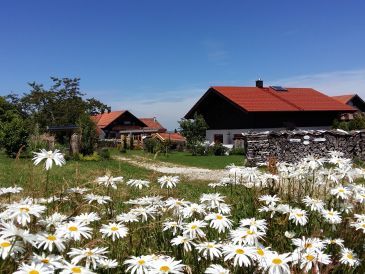 Wartner - Luxury Chalet