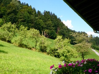 Vakantiehuis Aschau im Zillertal Omgeving 13