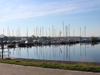 Hafen in Rerik