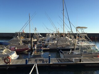 Villa Estreito da Calheta Registrazione all'aperto 10