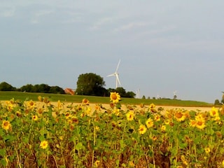 Blick über Felder