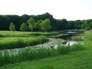 Casa per le vacanze Oostkapelle Ambiente 13