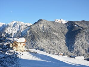 Ferienwohnung Arjila - St. Martin in Thurn - image1