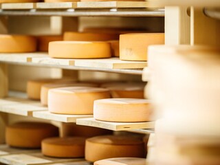 Appartamento per vacanze St. Martin in Thurn Ambiente 16