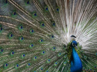 Appartamento per vacanze St. Martin in Thurn Ambiente 20