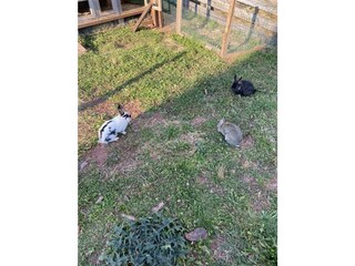 Appartamento per vacanze St. Martin in Thurn Ambiente 23