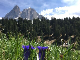 Appartamento per vacanze St. Martin in Thurn Registrazione all'aperto 7