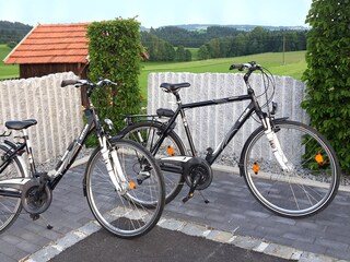 Casa per le vacanze Esternberg Ambiente 38