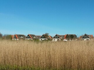 Casa per le vacanze Callantsoog Ambiente 23