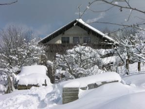 Ferienwohnung Haus Eichin - Kandern - image1