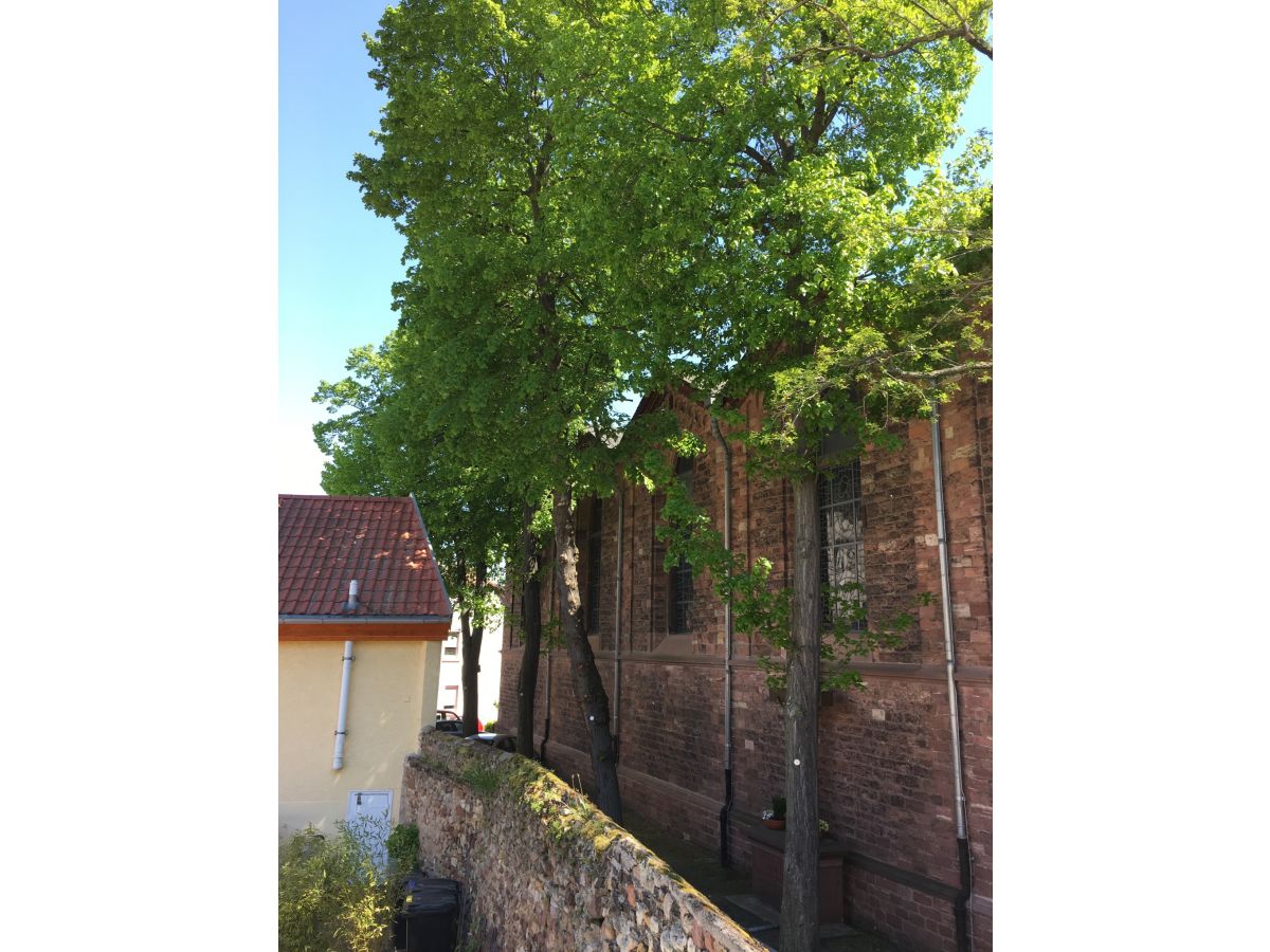 Casa de vacaciones Mainz Grabación al aire libre 1