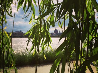 Casa per le vacanze Mainz Ambiente 18