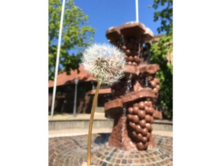 Casa per le vacanze Mainz Ambiente 20