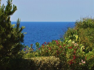 View of the sea