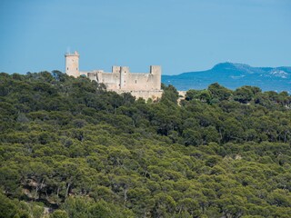 Chalet Palma de Mallorca Registrazione all'aperto 15