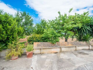 Villa Campanet Entorno 41