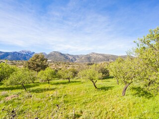 Villa Campanet Ambiente 43