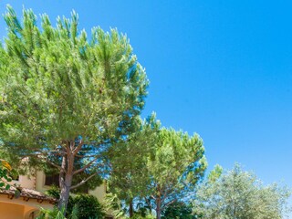 Villa Can Picafort Buitenaudio-opname 14