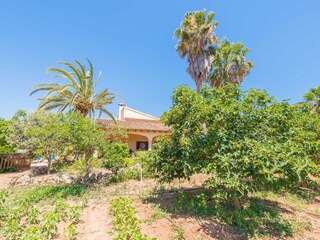 Villa Can Picafort Buitenaudio-opname 15