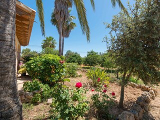 Villa Can Picafort Buitenaudio-opname 16