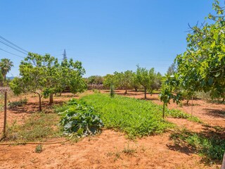 Villa Can Picafort Buitenaudio-opname 19